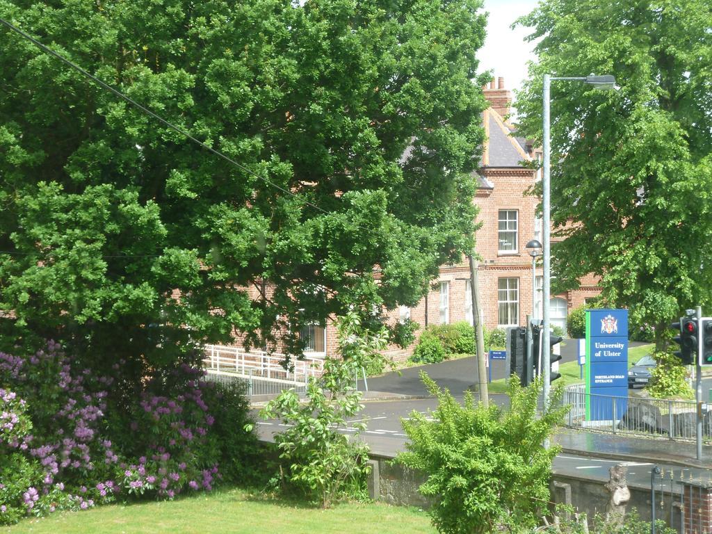 City Centre B & B Londonderry Rom bilde